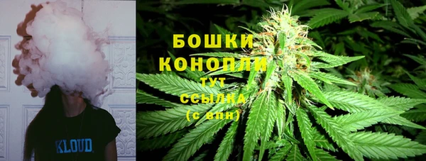 гидропоника Аркадак