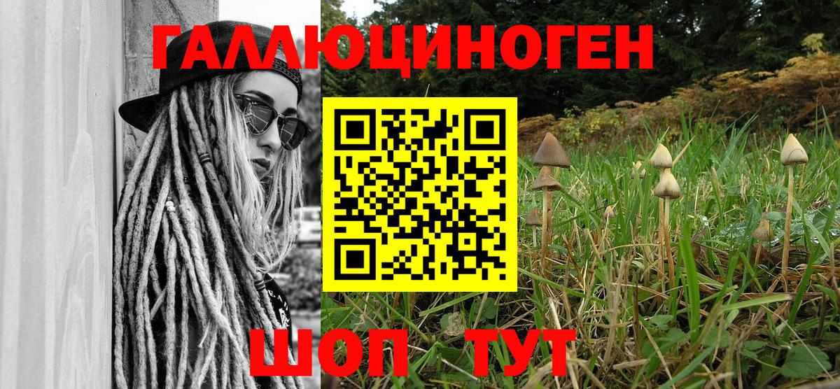 Галлюциногенные грибы Psilocybe  Вход с VPN  Архангельск  Псилоцибиновые грибы Psilocybine cubensis 