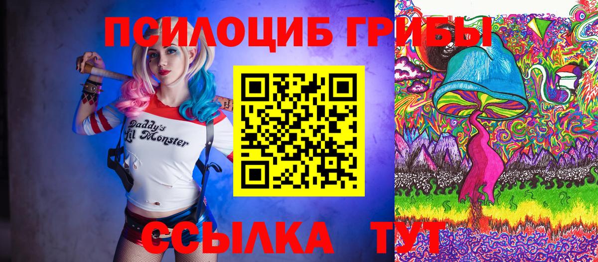 A-PVP Архангельск