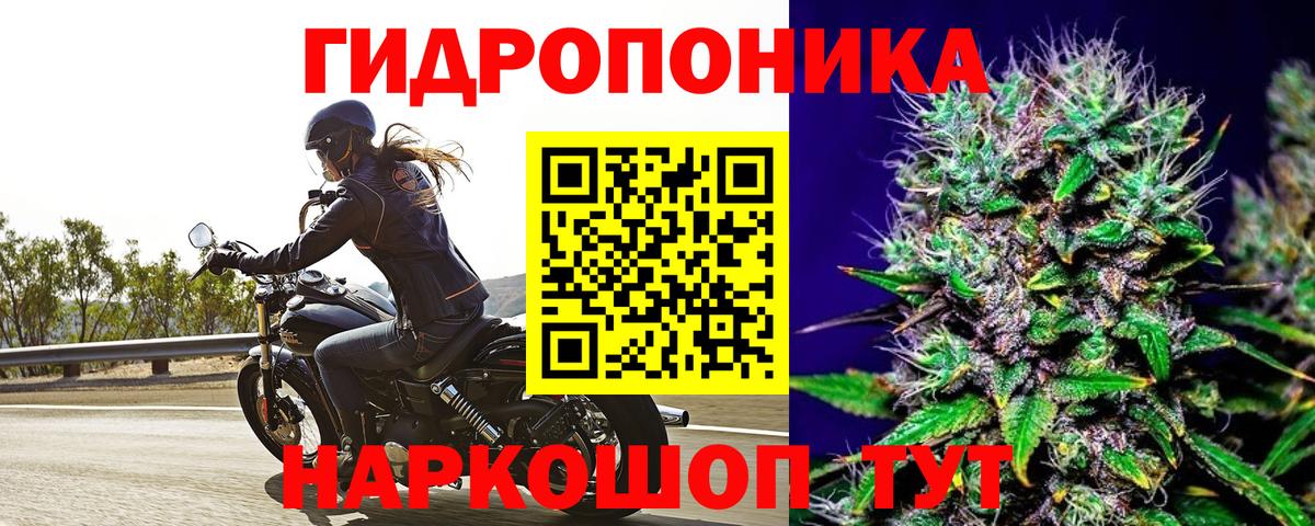 Конопля LSD WEED  Вход с VPN  Бошки Шишки семена  Канабис марихуана  Архангельск 